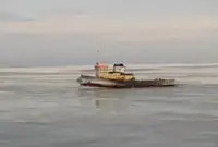 Łódź holownicza na sprzedaż