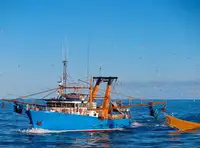Trawler na sprzedaż