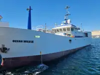 Longliner na sprzedaż