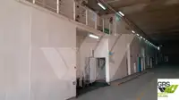 Statek Ro-Ro na sprzedaż