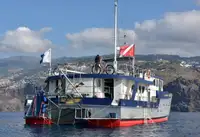 Holownik na sprzedaż