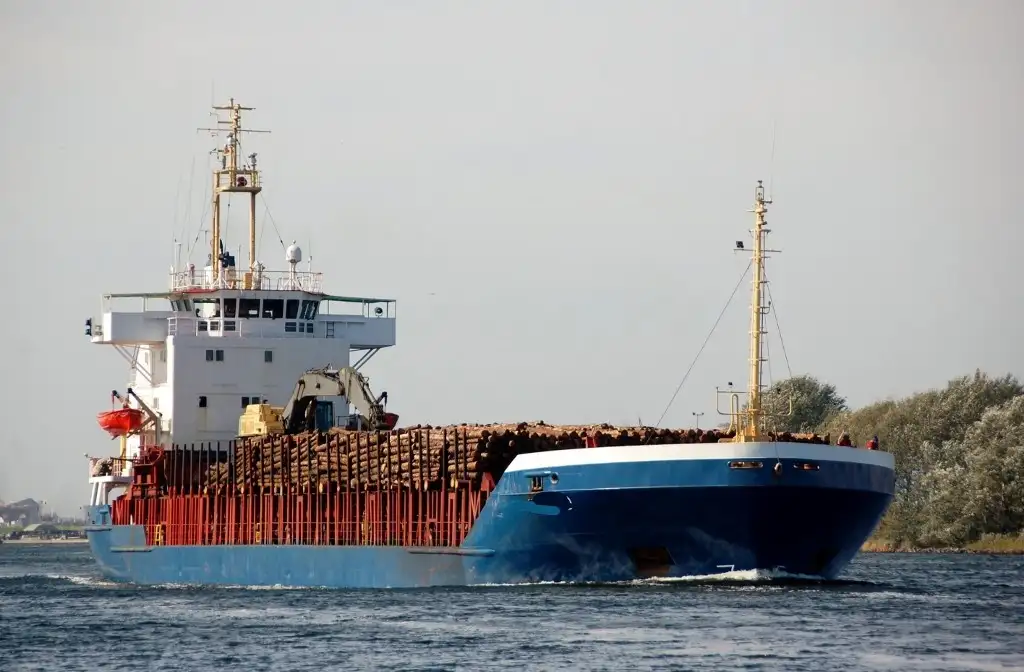 Statek transportowy ładunków sypkich na sprzedaż