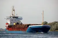 Statek transportowy ładunków sypkich na sprzedaż