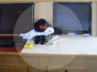 Trawler na sprzedaż