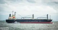 Statek transportowy ładunków sypkich na sprzedaż
