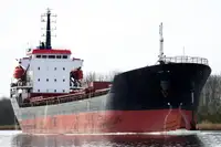 Masowiec na sprzedaż