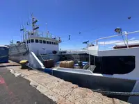 Trawler na sprzedaż