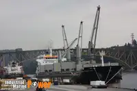 Statek transportowy ładunków sypkich na sprzedaż