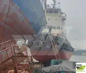 Holownik na sprzedaż