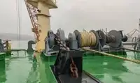 Statek transportowy ładunków sypkich na sprzedaż
