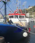 Trawler na sprzedaż