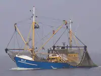 Trawler na sprzedaż