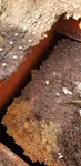 Holownik na sprzedaż