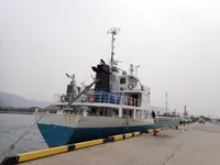 General Cargo/Multi-purpose na sprzedaż