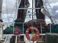 Trawler na sprzedaż