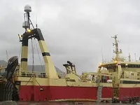 Trawler na sprzedaż