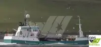 Trawler na sprzedaż