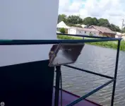 Holownik na sprzedaż