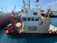 General Cargo/Multi-purpose na sprzedaż