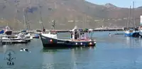 Trawler na sprzedaż