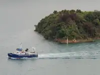 Katamaran na sprzedaż