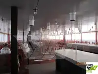 Statek wycieczkowy na sprzedaż