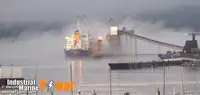 Statek transportowy ładunków sypkich na sprzedaż