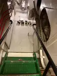 Holownik na sprzedaż