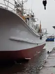 Longliner na sprzedaż