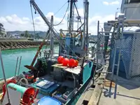 Trawler na sprzedaż