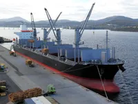 Statek transportowy ładunków sypkich na sprzedaż