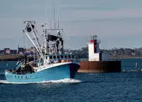 Purse seiner na sprzedaż