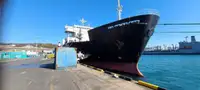 Ro-Ro ship na sprzedaż