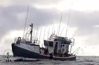 Trawler na sprzedaż