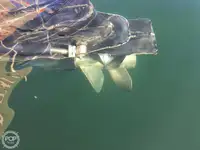 Trawler na sprzedaż