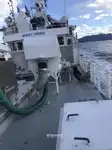 Purse seiner na sprzedaż
