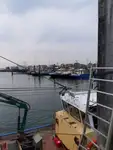 Trawler na sprzedaż