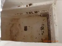 Żalotnik na sprzedaż
