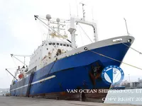 Trawler na sprzedaż
