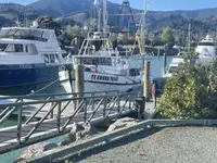 Trawler na sprzedaż