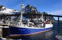 Purse seiner na sprzedaż