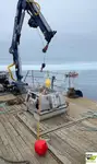 Łodzie robocze na sprzedaż