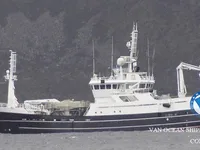 Trawler na sprzedaż