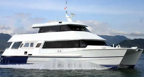 Catamaran for sale