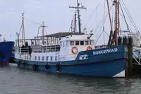 Barka na sprzedaż
