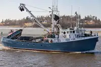 Purse seiner na sprzedaż