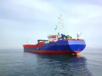 Statek transportowy ładunków sypkich na sprzedaż