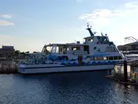 Statek pasażerski na sprzedaż