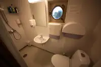 Statek transportowy ładunków sypkich na sprzedaż