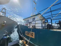 Trawler na sprzedaż